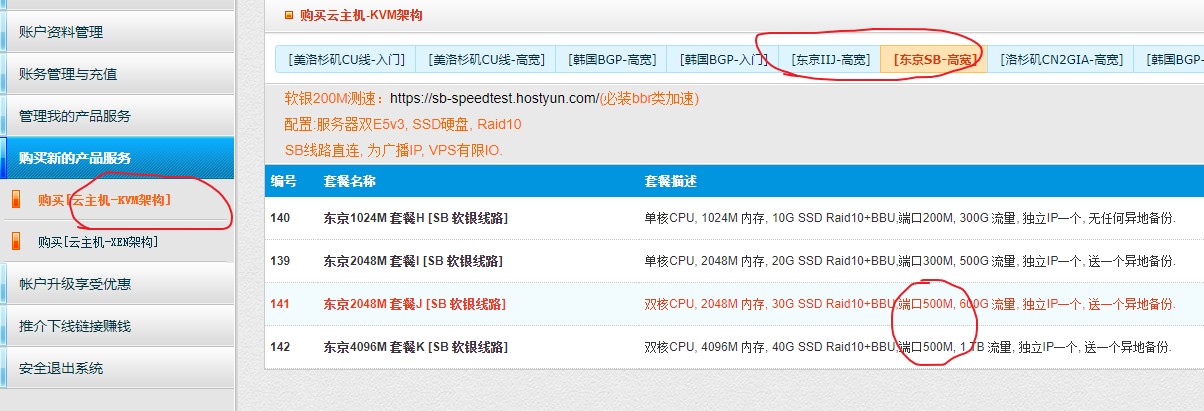 HostYun：52元/月/2核/2GB内存/30GB SSD空间/1TB流量/500Mbps端口/KVM/日本IIJ/日本软银