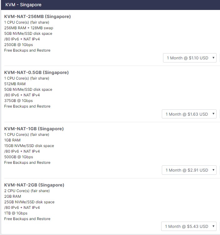 WebHorizon:$1.1/月/256MB内存/5GB NVMe空间/250GB流量/1Gbps端口/NAT/KVM/新加坡
