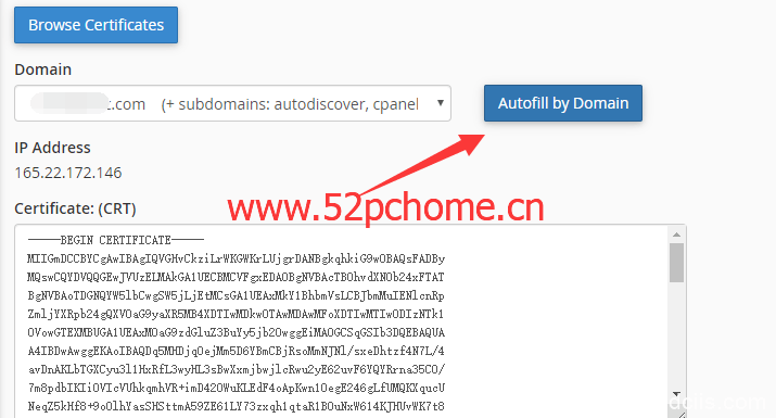 ChemiCloud：cPanel主机/国外主机/外贸主机月付3.95USD/附WordPress建站使用教程